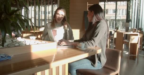 Diversi Colleghi Discutono Progetto Bar Durante Pausa Pranzo — Video Stock