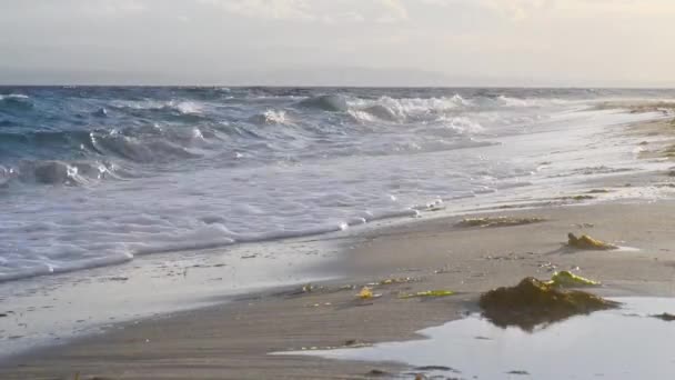 Tutup Dari Permukaan Laut Dengan Gelombang Siang Hari — Stok Video