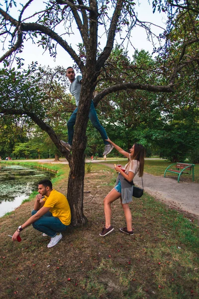 Arkadaşlar Parkta Ağaçlara Tırmanıyor Güzel Günbatımı Manzarasının Yakınlarındaki Nehrin Tadını — Stok fotoğraf