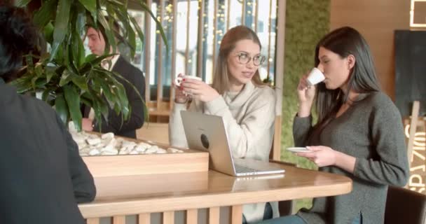 Jóvenes Colegas Discutiendo Proyecto Una Cafetería Hora Del Almuerzo — Vídeos de Stock