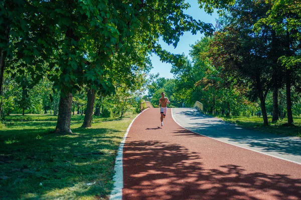 Een Sterke Aantrekkelijke Man Zonder Shirt Het Park — Stockfoto