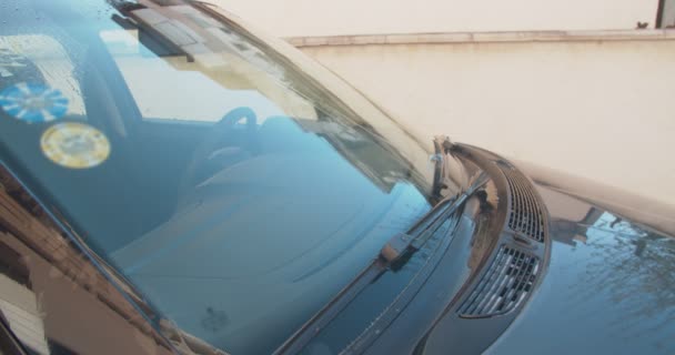 Teenager Boy Washing His Father Car Front Garage Sunny Day — Stock Video