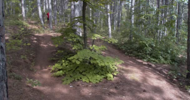 Panning Shot Van Een Mannelijke Loper Het Bos Slow Motion — Stockvideo