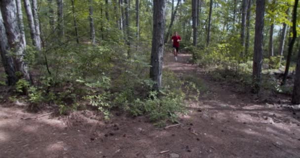 Giovane Uomo Forma Che Corre Nella Foresta Attraverso Paese Riprese — Video Stock