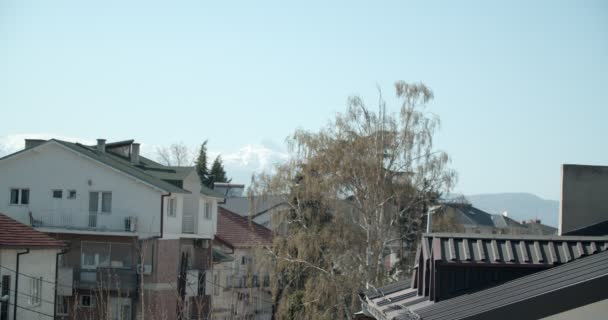 Lugn Video Stadsdelen Dagtid Lätt Vind Vind Vind Flyttar Grenar — Stockvideo