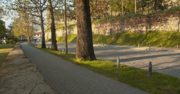 Parkour Sauter Par Dessus Entraînement Obstacle Dans Parc Échouer — Video