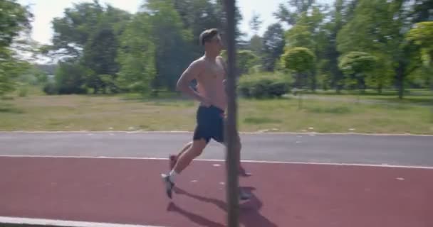 Jong Stel Loopt Het Park Een Zonnige Dag — Stockvideo