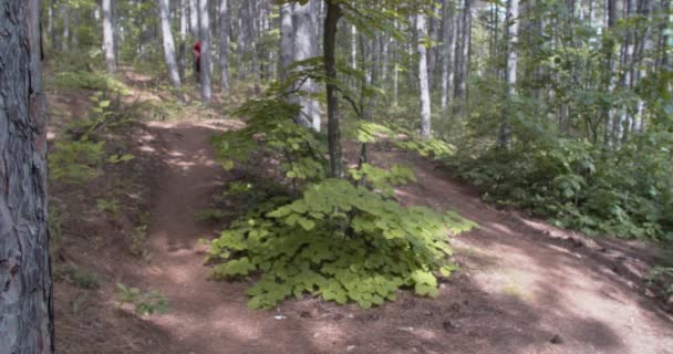 Panning Shot Van Een Mannelijke Loper Het Bos — Stockvideo