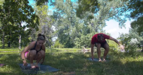 Young Couple Doing Handstand Park — Stock Video