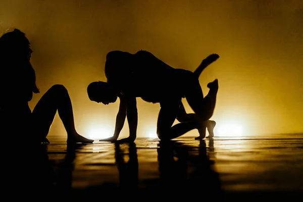 Artistas Dança Contemporânea Exercitando Durante Uma Aula Dança — Fotografia de Stock