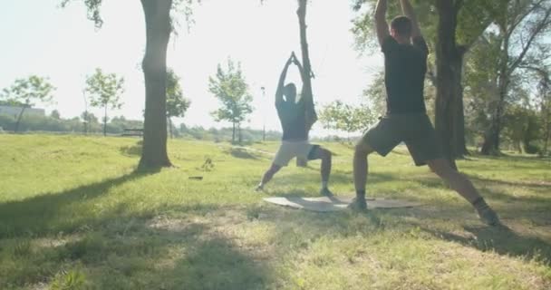 Dua Teman Berlatih Yoga Bersama Taman — Stok Video