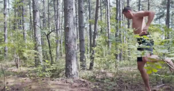 Hombre Practicando Karate Mueve Columpio Bosque — Vídeos de Stock