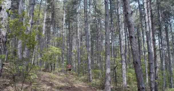 Een Man Die Alleen Sprint Bergweg — Stockvideo
