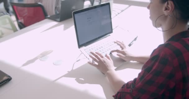 Jóvenes Diversas Etnias Que Trabajan Una Oficina Moderna Durante Día — Vídeo de stock