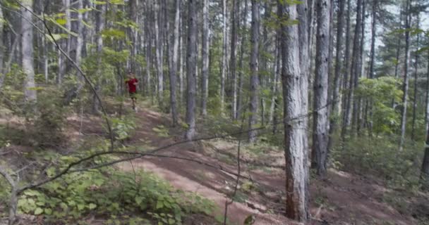 Mannelijke Loper Het Bos Dalende Panning Schot — Stockvideo