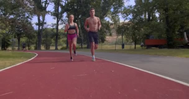 Pareja Joven Corriendo Parque Día Soleado — Vídeo de stock