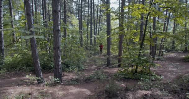 Mannelijke Loper Het Bos Klimmen Panning Schot — Stockvideo