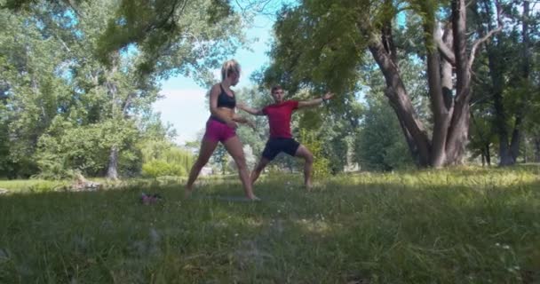 Jeune Couple Échauffant Avant Entraîner Dans Parc Par Une Journée — Video