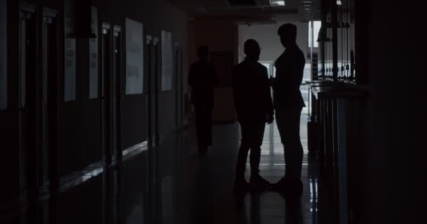 Multikulturelles Business Team Arbeitet Einem Projekt Einem Büro Silhouette — Stockvideo