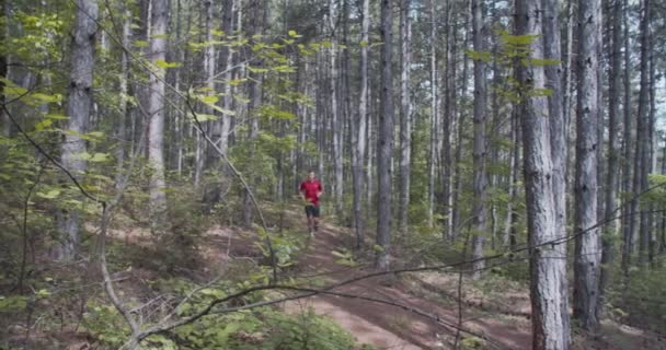 Man Springer Ensam Skogen Dagtid — Stockvideo