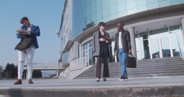 Jovem Equipe Negócios Multicultural Discutindo Sobre Trabalho Dia Ensolarado — Vídeo de Stock