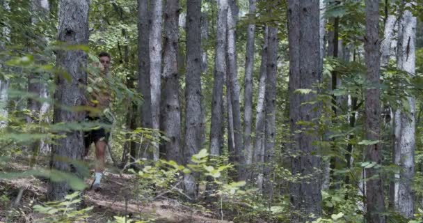 Een Man Die Overdag Alleen Het Bos Rent — Stockvideo