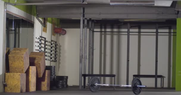 사람이 피트를 체육관에서 훈련시키다 — 비디오