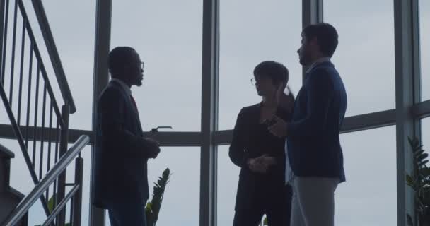 Multikulturelles Geschäftsteam Spricht Über Arbeit — Stockvideo