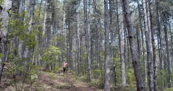白天一个人在森林里跑 — 图库视频影像