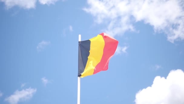Lazo inconsútil de la bandera belga. Textura de tela brillante de alta calidad . — Vídeo de stock