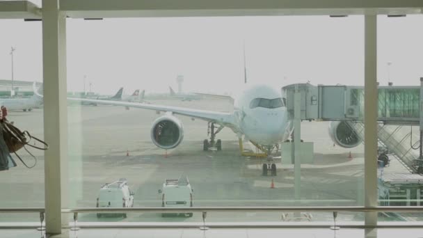 Una chica hermosa llega tarde a un avión. Se ejecuta en la terminal del aeropuerto con una mochila en un vestido — Vídeos de Stock