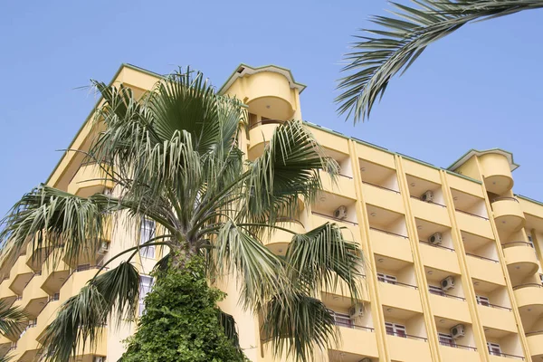 Green palm tree in the city. Turkey hotel