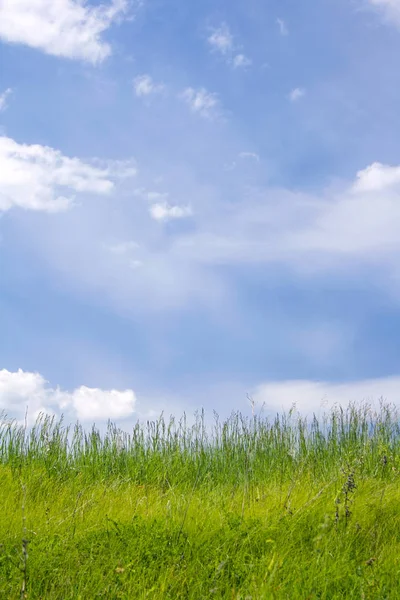 Grönt Gräs Och Vita Moln Sommaren Gräsmatta — Stockfoto