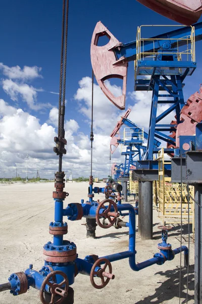 Industria Del Petróleo Gas Trabajo Gato Bomba Aceite Campo Aceite — Foto de Stock