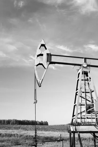 Industria Del Petróleo Gas Trabajo Gato Bomba Aceite Campo Aceite —  Fotos de Stock