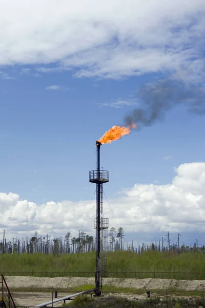 Antorcha Aceite Una Refinería —  Fotos de Stock