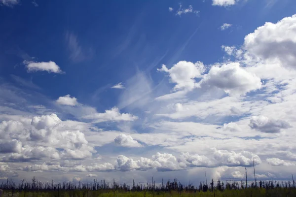 Blauwe Lucht Wolken Onder Droog Bos — Stockfoto