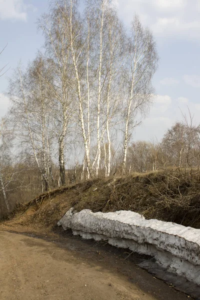 Spring road — Stock Photo, Image