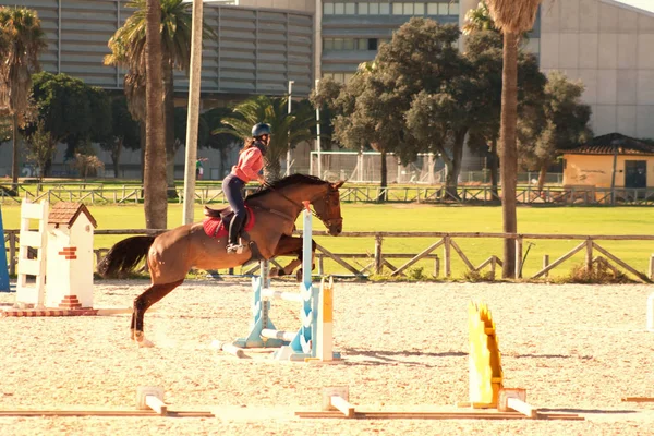 Menina Cavaleiro Treina Cavalo Espanha Jerez Dezembro 2018 — Fotografia de Stock