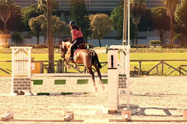 Train Cavalières Cheval Espagne Jerez Décembre 2018 — Photo