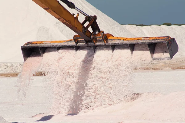 Fábrica Sal Livre Escavadora Recolhe Sal — Fotografia de Stock