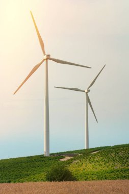 Güç kaynağı için modern yel değirmenleri bir alanda açık bir alana kurulur..