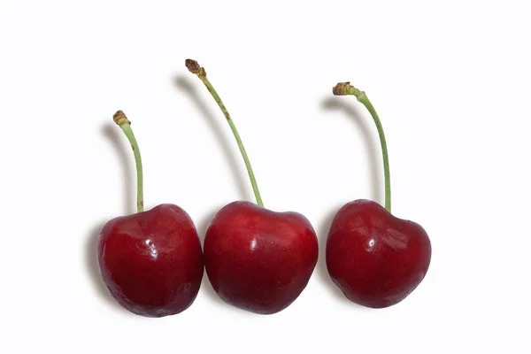 Mature Ripe Red Cherries Isolated White Background — Stock Photo, Image
