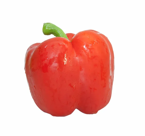 Jeden Červený Sladký Paprika Izolované Bílém Pozadí — Stock fotografie