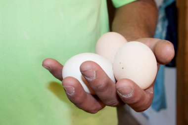 Bir adamın elinde nasırlı ve çivili üç tavuk yumurtası..
