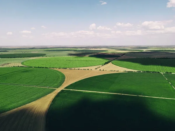 Fields Crops Top View — Stock Photo, Image