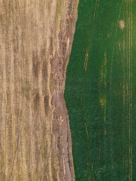 Feldtextur Von Oben Aus Der Drohne — Stockfoto