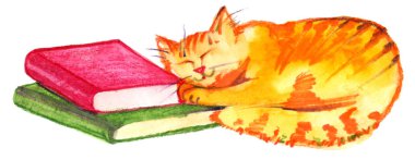 Zencefil yavru kedi kitaplar üzerinde uyuyor. Suluboya resim