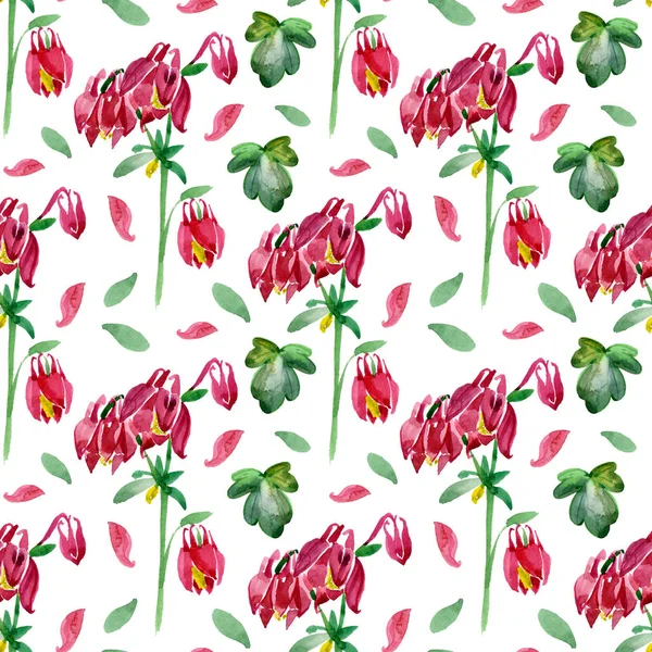 无缝模式。手绘水彩 植物插图的阿奎莱吉亚的花朵。用于设计、结构和其他对象的元素. — 图库照片