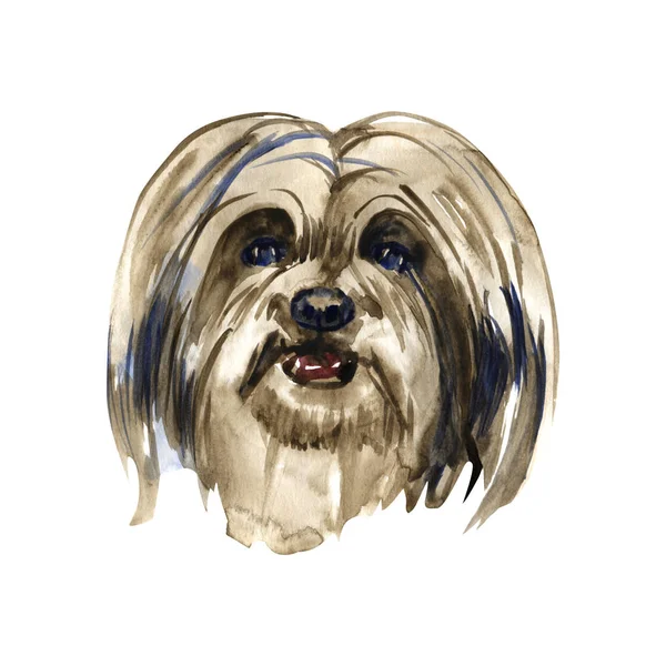 ラサ ・ アプソ - 手描き、孤立した水彩画犬 — ストック写真